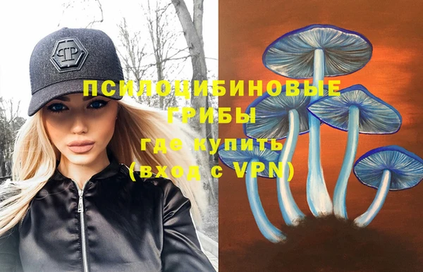 стаф Богданович