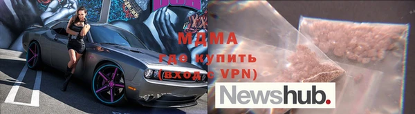 стаф Богданович