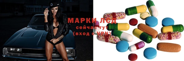 стаф Богданович