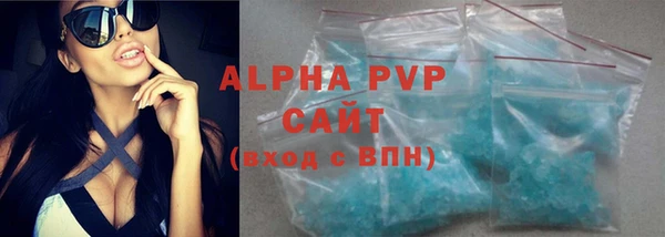 стаф Богданович
