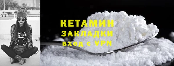 стаф Богданович