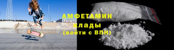 стаф Богданович