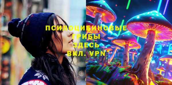 твердый Богородск