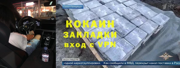 стаф Богданович