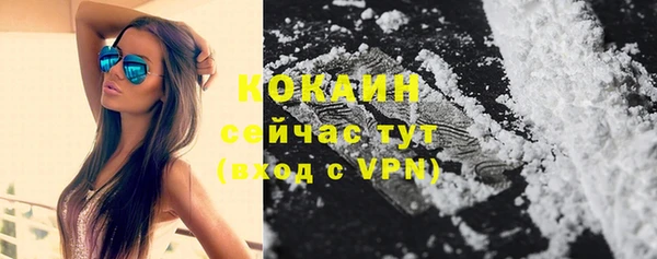 стаф Богданович