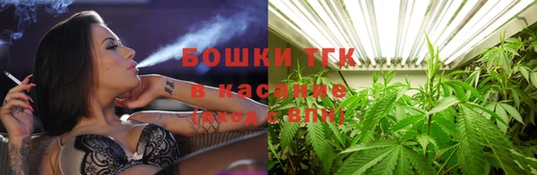 стаф Богданович