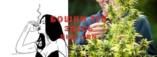твердый Богородск
